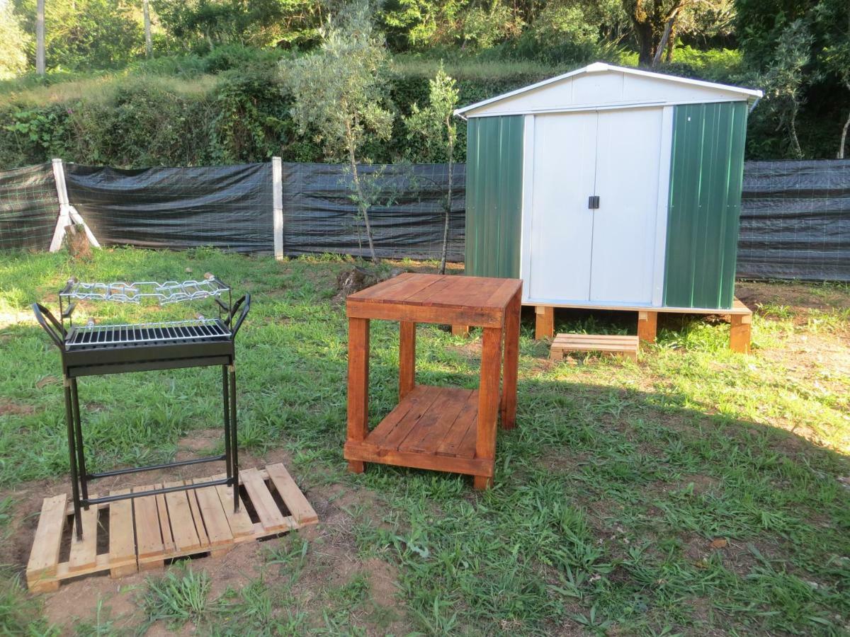 Vila Casinha Das Oliveiras - A 300 Metros Dos Passadicos Do Paiva Espiunca Exteriér fotografie